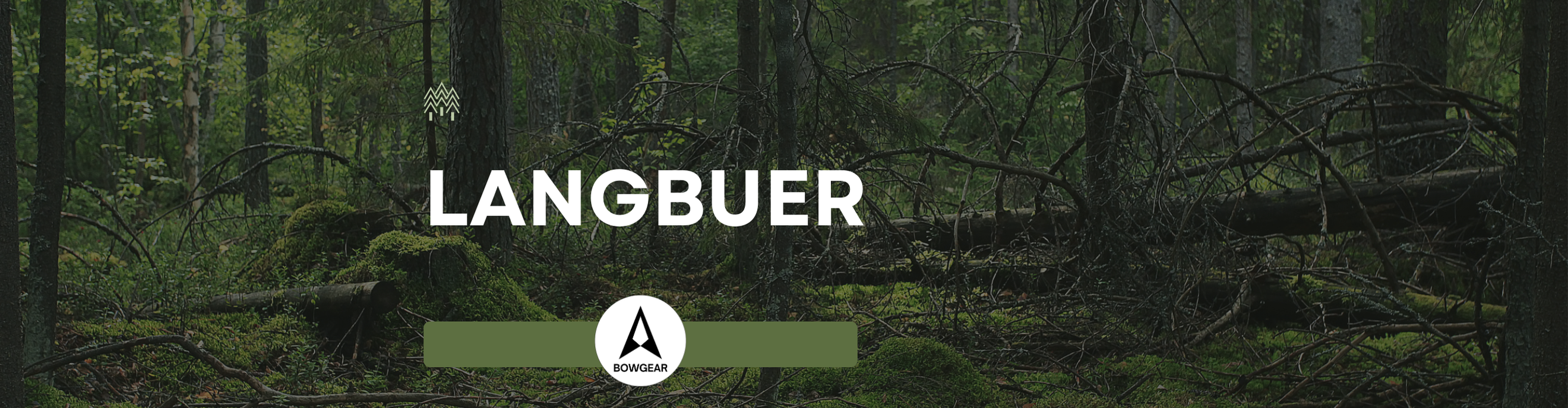 Langbuer
