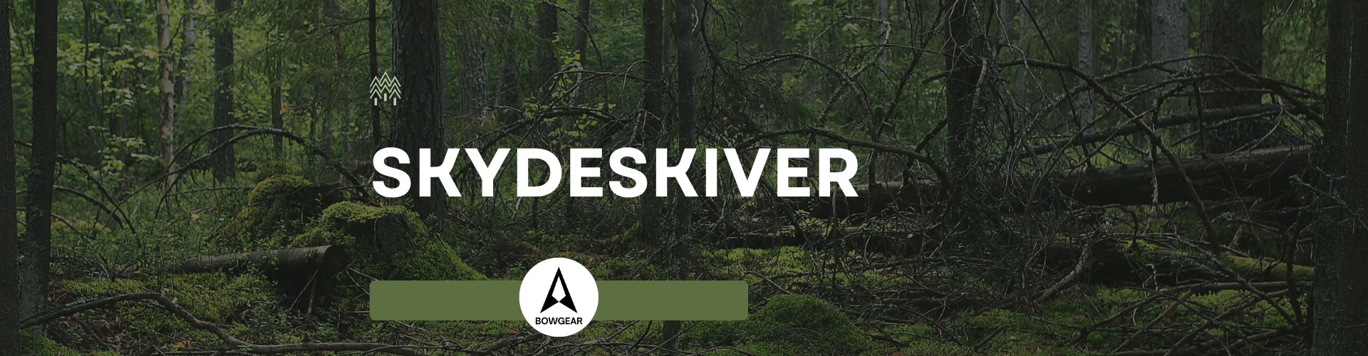 Skydeskiver