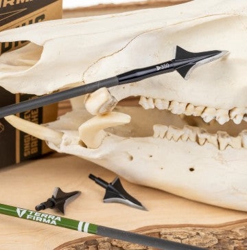 Terra Firma Gladius 3 blade Broadhead 