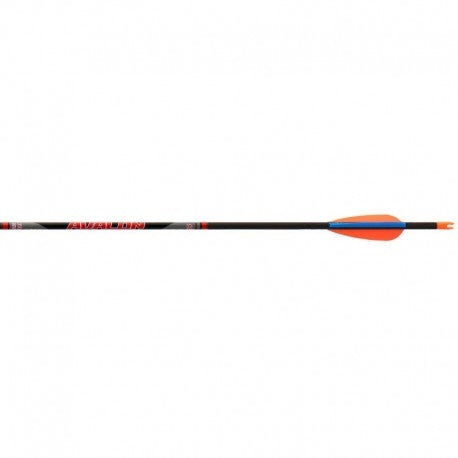 Avalon TYRO spine 800 pil